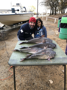 Two hardhead sea catfish and blue catfish, a great catch in Lewisville