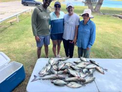 Two blue catfish caught while fishing in TX