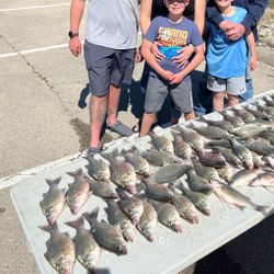 7 striped bass caught while fishing in Lewisville