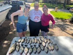 Striped bass caught by three anglers in TX