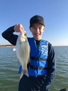 A white bass fish caught in TX