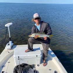 Snook Down in Crystal River 