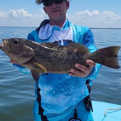 Awesome Fishing Crystal River FL