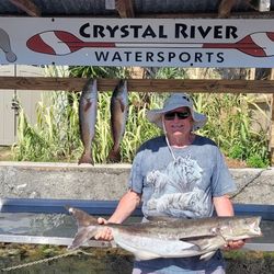 Three big freshwater fish caught in FL