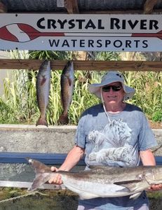 Three big fish caught while fishing in Crystal River