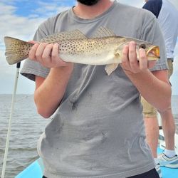 Fishing in FL