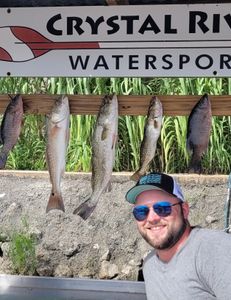 5 spotted weakfish and redfish caught while fishing in FL