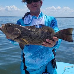 Gag Grouper fish caught in Crystal River
