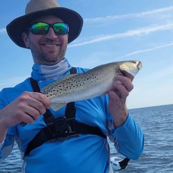 Spotted Weakfish caught in FL