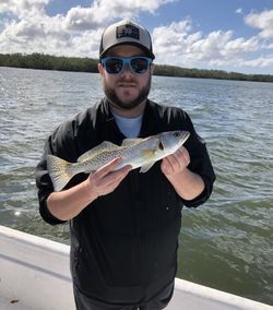 Speckled trout fishing catch in Palmetto FL waters
