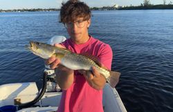 Speckled trout caught fishing in Palmetto FL waters