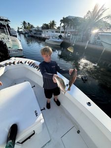 Grey snapper fishing success on boat in Bridge, FL with multiple fish displayed