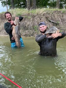 A big blue catfish caught while fishing in TX
