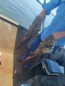 Two fishing rods cast into the waters of Grand Saline