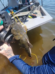 Angler enjoying a day of fishing in TX