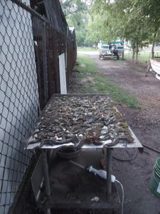 Picturesque landscape of Grand Saline