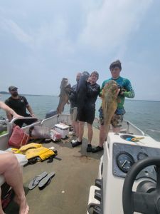 Two big flathead catfish and gafftopsail sea catfish caught while fishing in TX