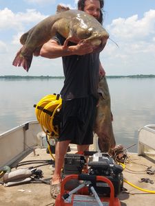Two big brown bullhead fish caught in Grand Saline