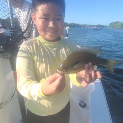 1 angler fishing in TX