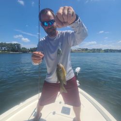 An angler fishing in Austin