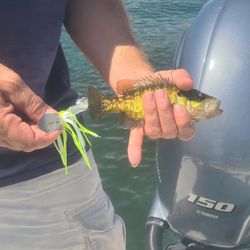 Fishing adventure in TX