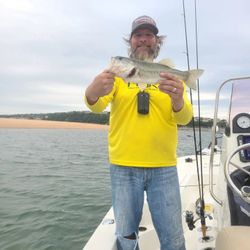 Largemouth bass caught while fishing in Austin