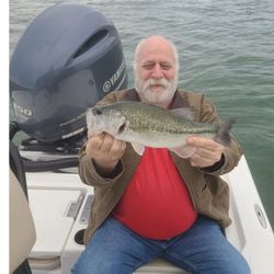 Largemouth Bass caught while fishing in Austin
