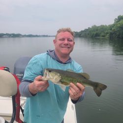 Largemouth Bass caught in TX
