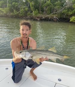 Ten Thousand Islands Fishing