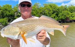 Fisherman with a 25-inch catch in Naples