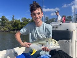 Impressive catch of a Crevalle Jack fish measuring 13 inches, taken in Naples, Florida.