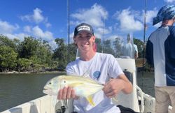 Crevalle Jack fish caught while fishing in FL