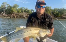 Snook, a 25-inch fish, caught in Naples