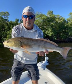 Redfish caught while fishing in FL