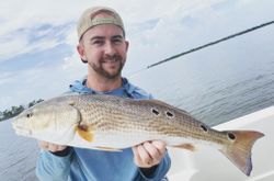 Redfish caught in Naples, Florida