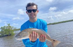 Redfish caught in Naples, FL