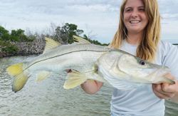 Snook fish caught in FL