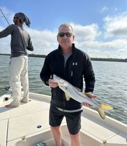Snook fish caught in Naples, Florida