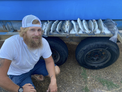 Two black drum fish caught in Alabama