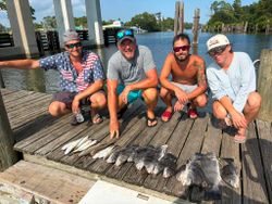 Successful fishing trip displaying black drum catch on wooden dock in Gulf Shores Alabama
