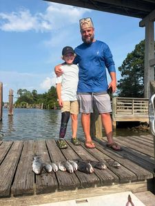 Fresh caught fish displayed on wooden dock in Gulf Shores AL