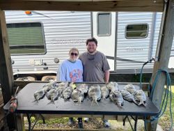 Successful sheepshead fishing trip in Gulf Shores AL with multiple fish displayed on cleaning table at RV campsite