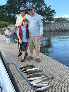Successful Gulf Shores fishing trip showing caught speckled trout laid out on boat dock