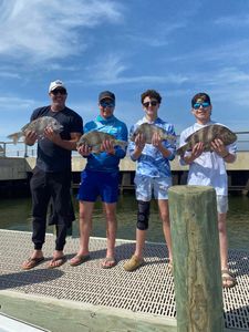 Three sheepshead fish caught in AL