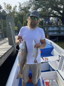 Two redfish and spotted weakfish caught in Gulf Shores