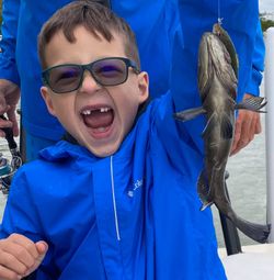 Reel in fun and excitement in Cape Coral.