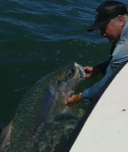 1 angler fishing in Cape Coral