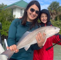 A single Atlantic Croaker fish caught in FL