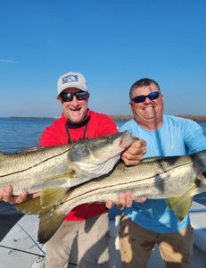 One 30-inch fish caught in Cape Coral