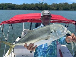 Crevalle Jack, a 33-inch fish, caught while fishing in Cape Coral